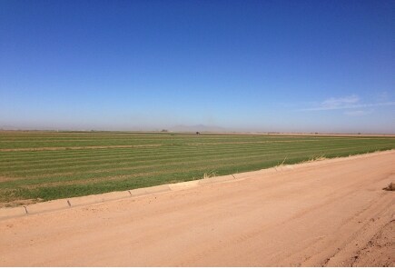 NE Stanfield Rd & Kortsen Rd, Stanfield, AZ for sale - Primary Photo - Image 1 of 1