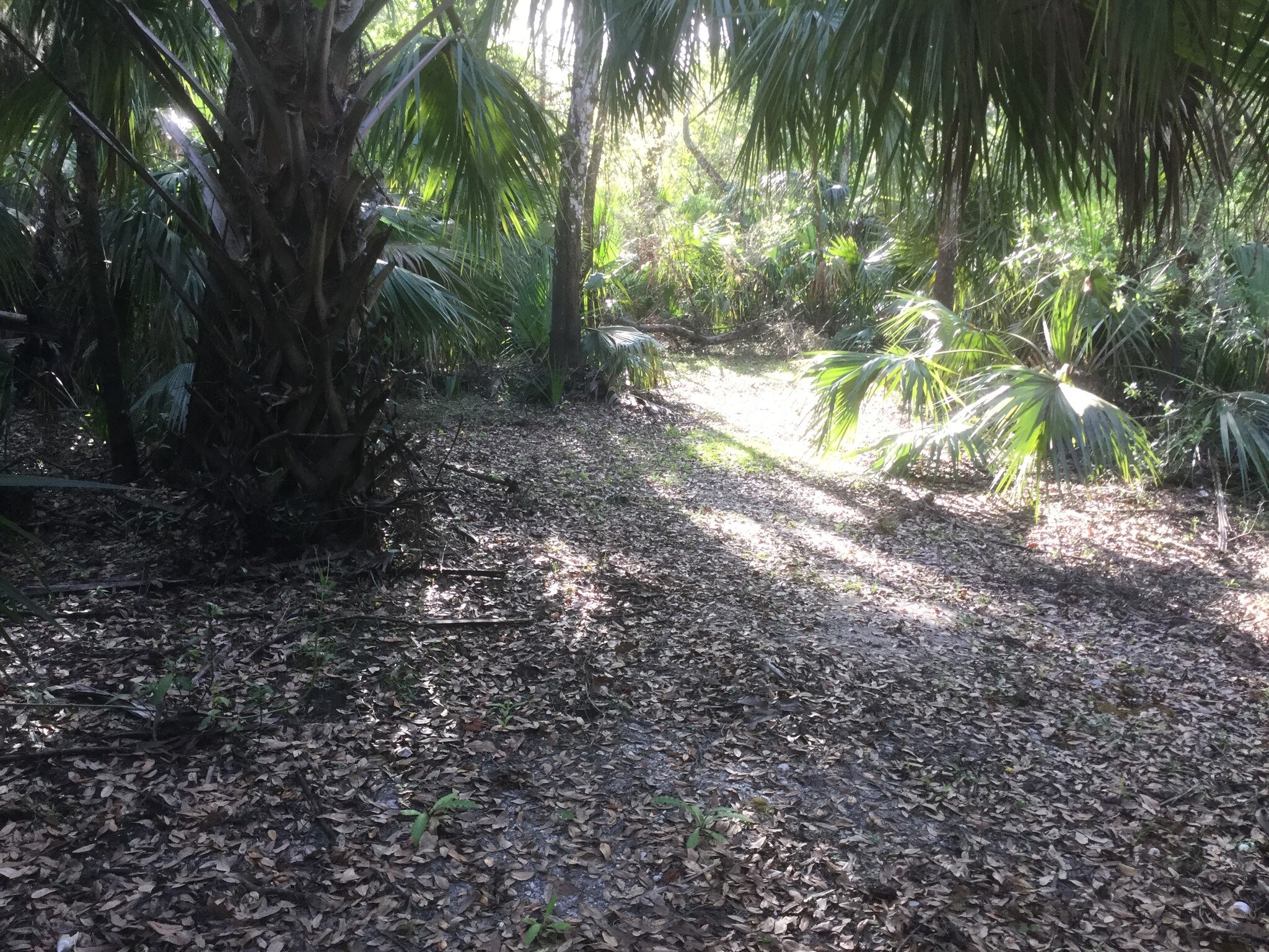 5826 NE Tram Line Rd, Arcadia, FL for sale Other- Image 1 of 1