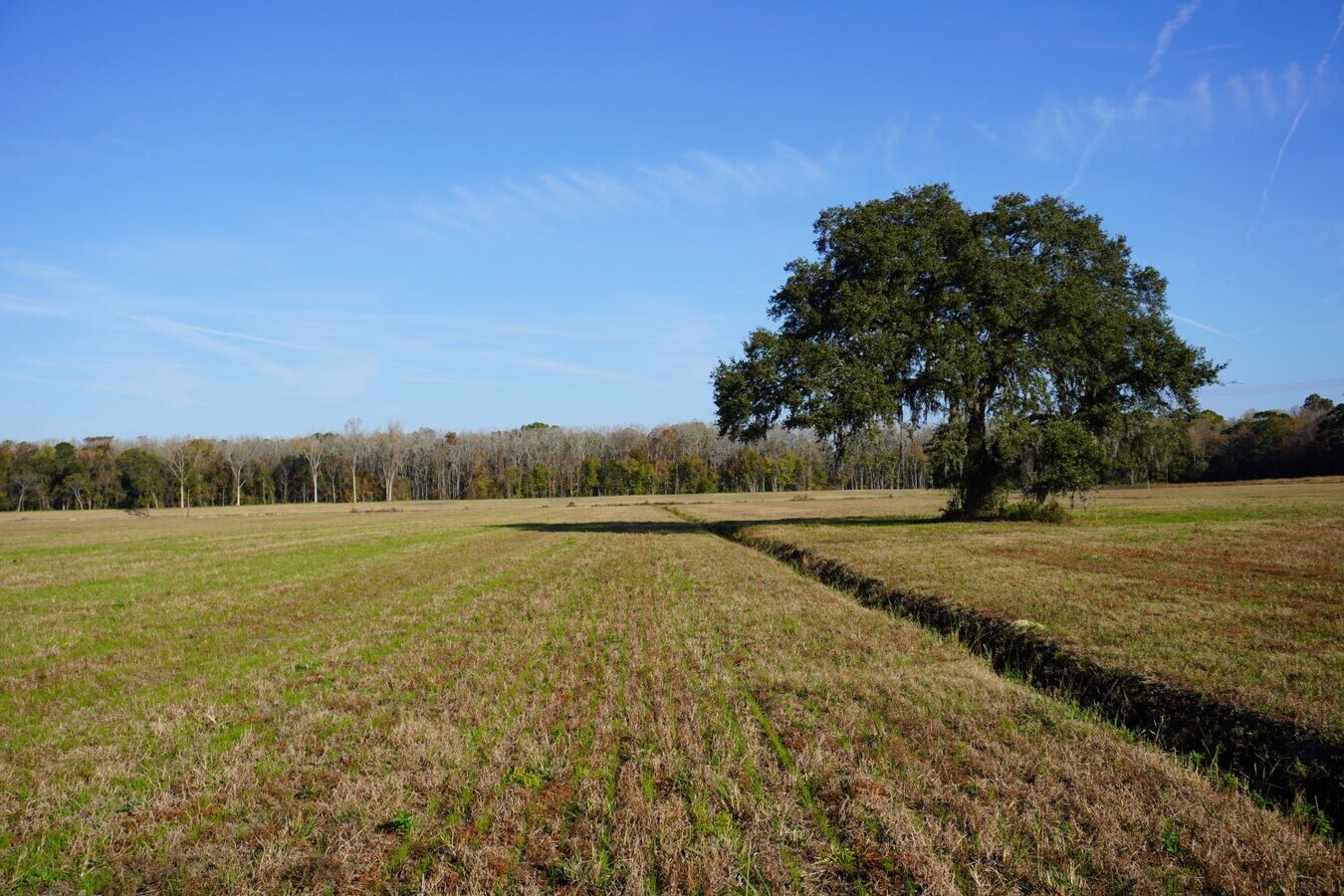 2066 Rackity Hall Rd, Wadmalaw Island, SC 29487 Land for Sale