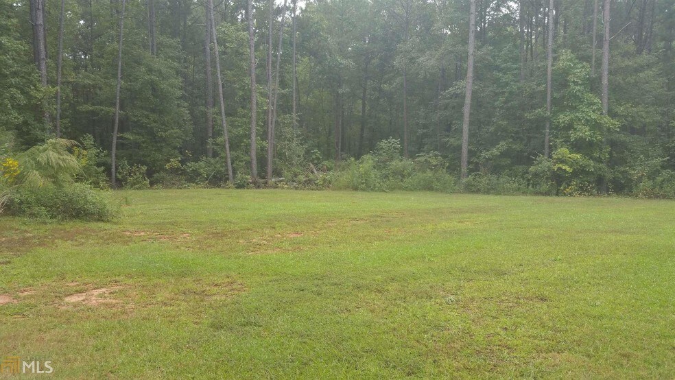 0 Washington St, Covington, GA for sale - Other - Image 1 of 1