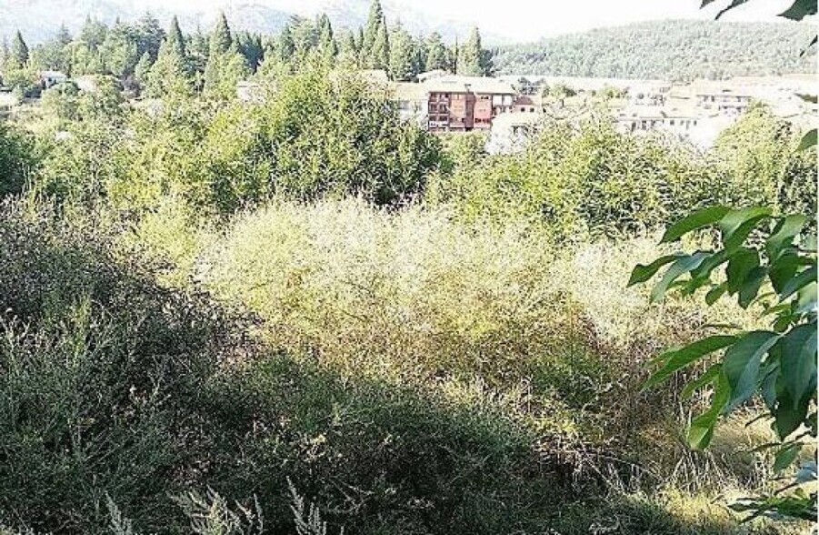 Land in Candelario for sale - Building Photo - Image 3 of 4