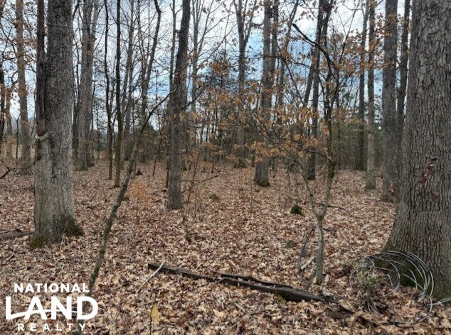 1351A Old Water Works Rd SW, Fort Payne, AL for sale - Aerial - Image 3 of 18