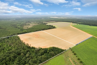 More details for 1 Old Stage rd, Repton, AL - Land for Sale