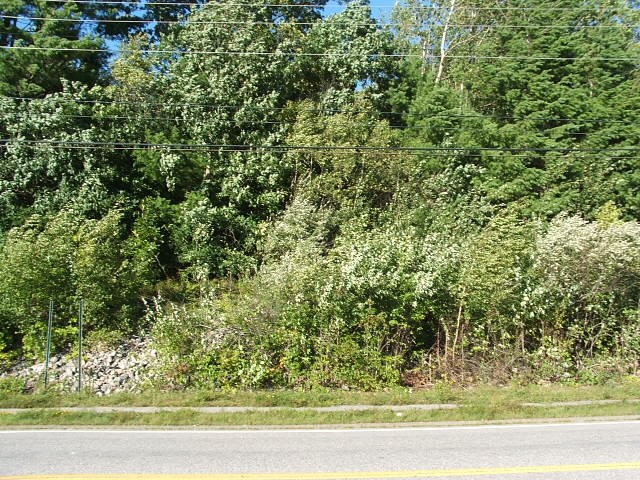 26 Barra Rd, Biddeford, ME for sale - Building Photo - Image 1 of 1