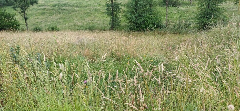 Barrio Illas, S/N, Illas, Asturias for sale - Building Photo - Image 2 of 8