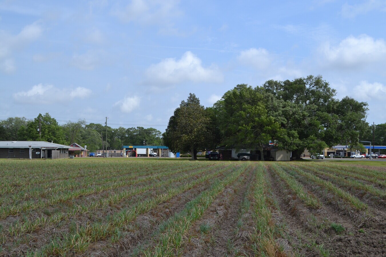 2912 Loreauville Rd, New Iberia, LA 70563