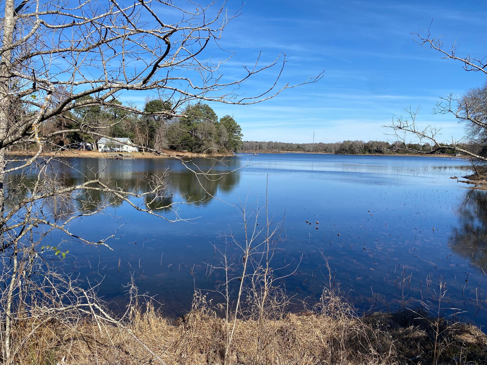 17445 CR 443, Marquez, TX 77865