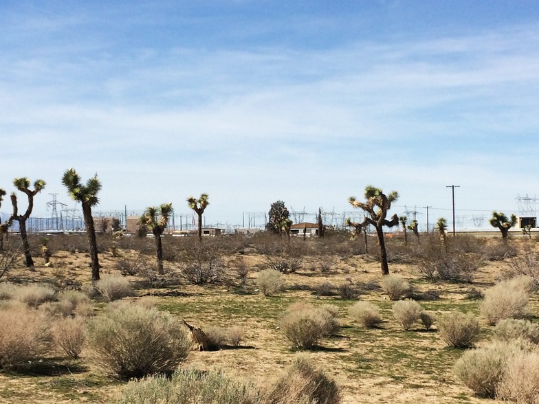 11696 Lilac Rd, Adelanto, CA for sale - Building Photo - Image 1 of 1