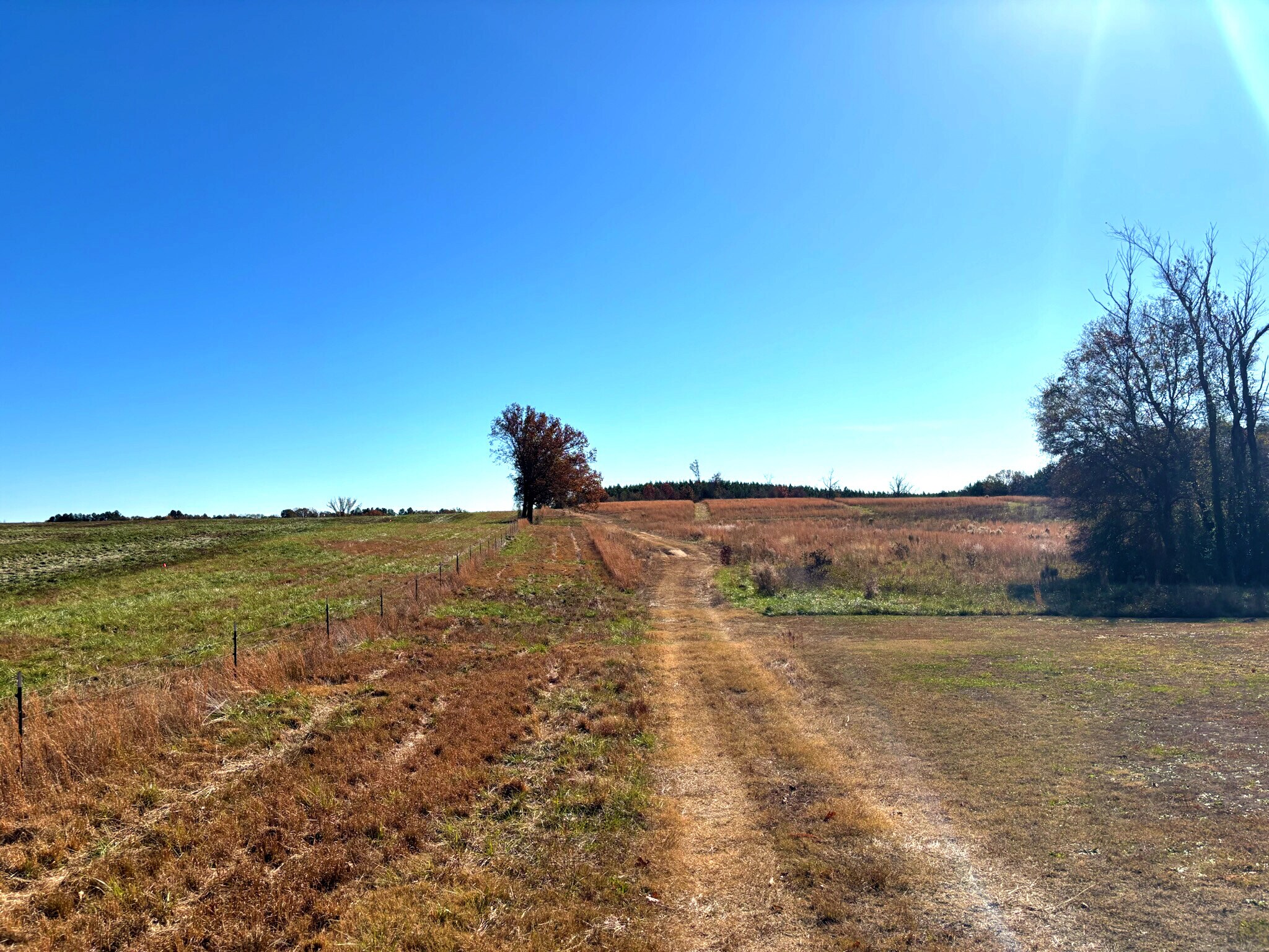 169 Stone Dr, Belton, SC for sale Primary Photo- Image 1 of 18