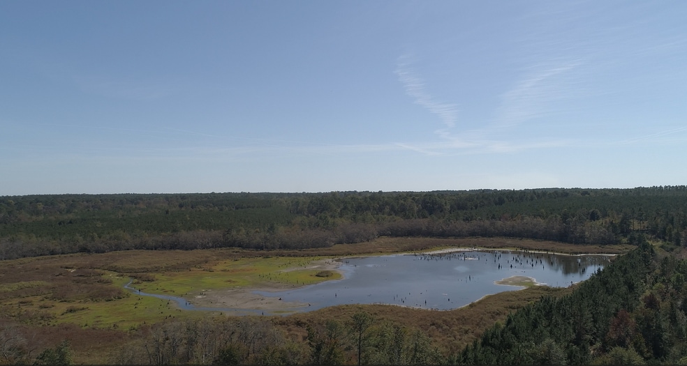 2202 Kennedy Bridge Rd, Register, GA for sale - Primary Photo - Image 1 of 14