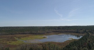 More details for 2202 Kennedy Bridge Rd, Register, GA - Land for Sale