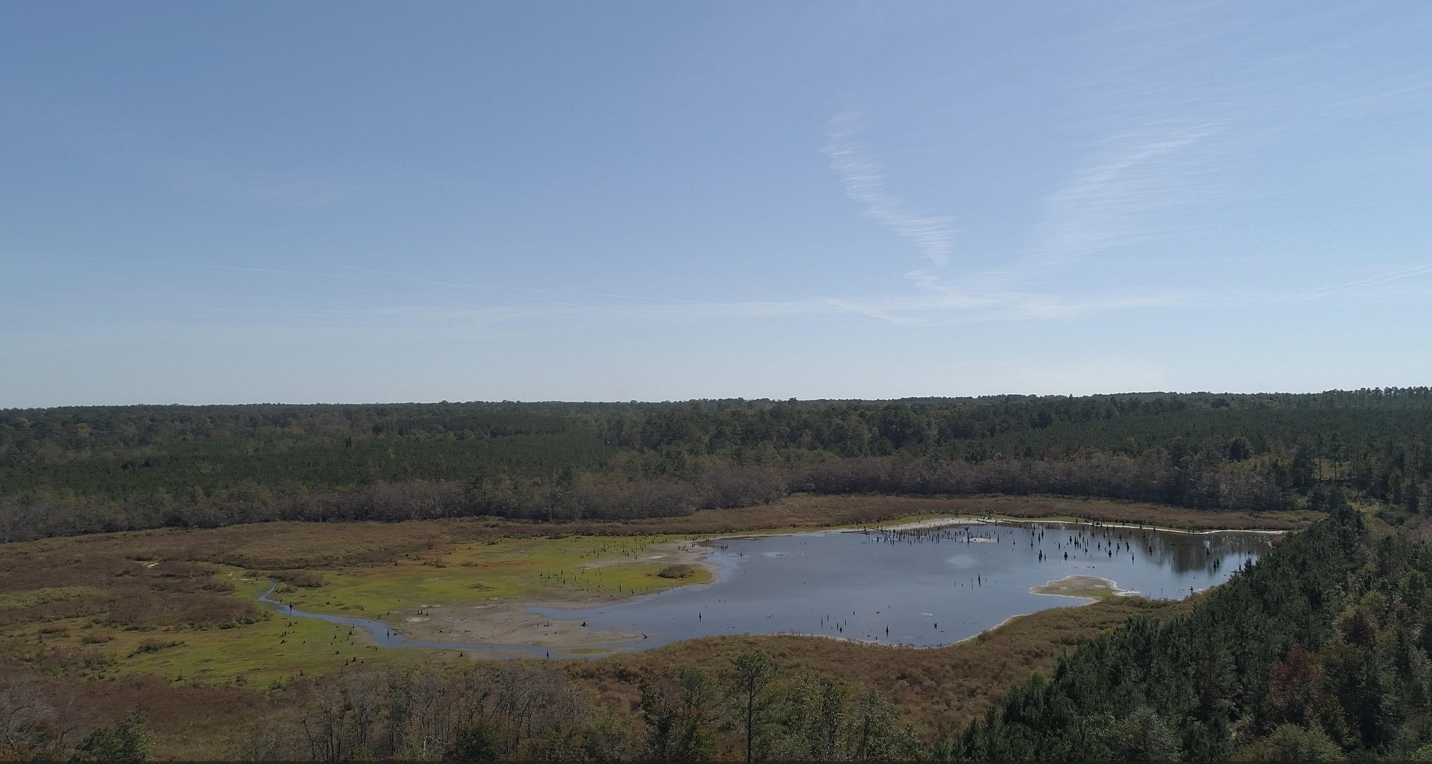 2202 Kennedy Bridge Rd, Register, GA for sale Primary Photo- Image 1 of 15