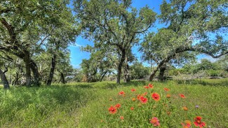 More details for County Road 253, Bertram, TX - Land for Sale