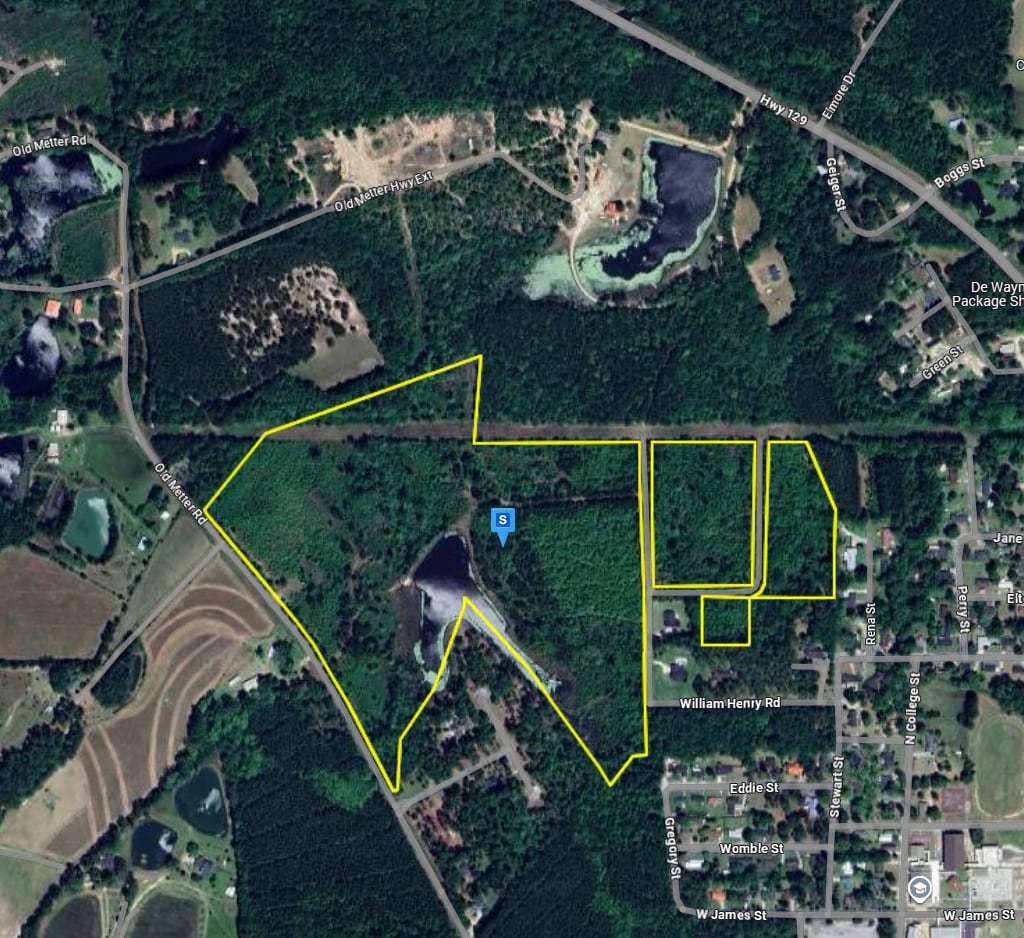 2927 Old Claxton- Metter Hwy, Claxton, GA for sale Building Photo- Image 1 of 4