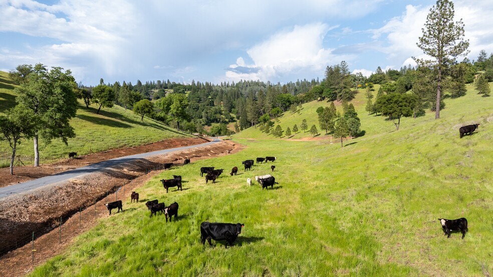 5160 Scarlet Oak, Greenwood, CA for sale - Building Photo - Image 3 of 52