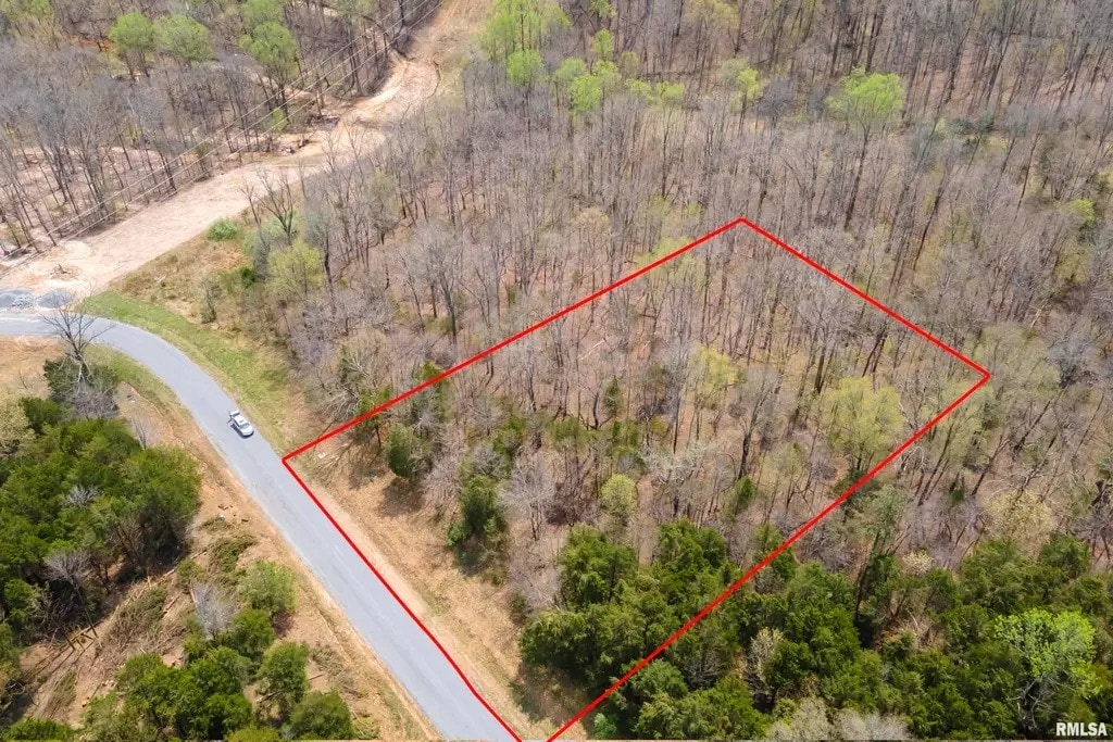 TBD Clifty Ln, Goreville, IL for sale Primary Photo- Image 1 of 22