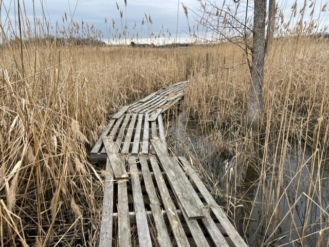 4298 McColley Rd, Milford, DE for sale Primary Photo- Image 1 of 7