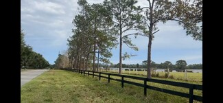 More details for 3406 Lake Diane Rd, Tavares, FL - Land for Sale