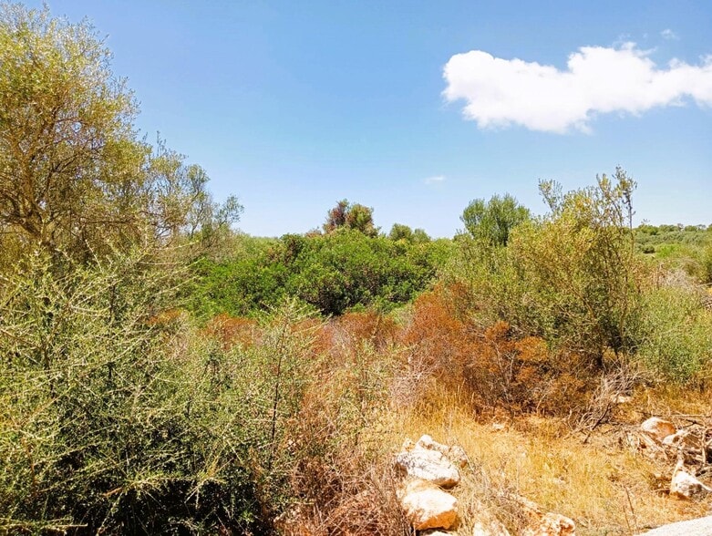 Land in Santanyí, Islas Baleares for sale - Building Photo - Image 1 of 1