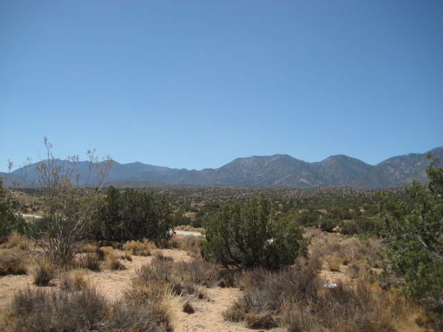 NWC Homer Rd. & Longview, Pearblossom, CA for sale - Primary Photo - Image 1 of 1