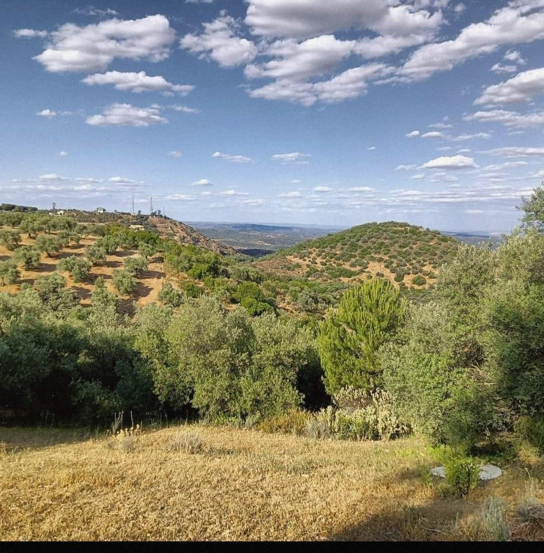 Land in Córdoba, Córdoba for sale Building Photo- Image 1 of 4