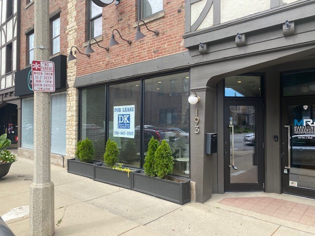 193 N Marion St, Oak Park, IL for lease - Building Photo - Image 2 of 9