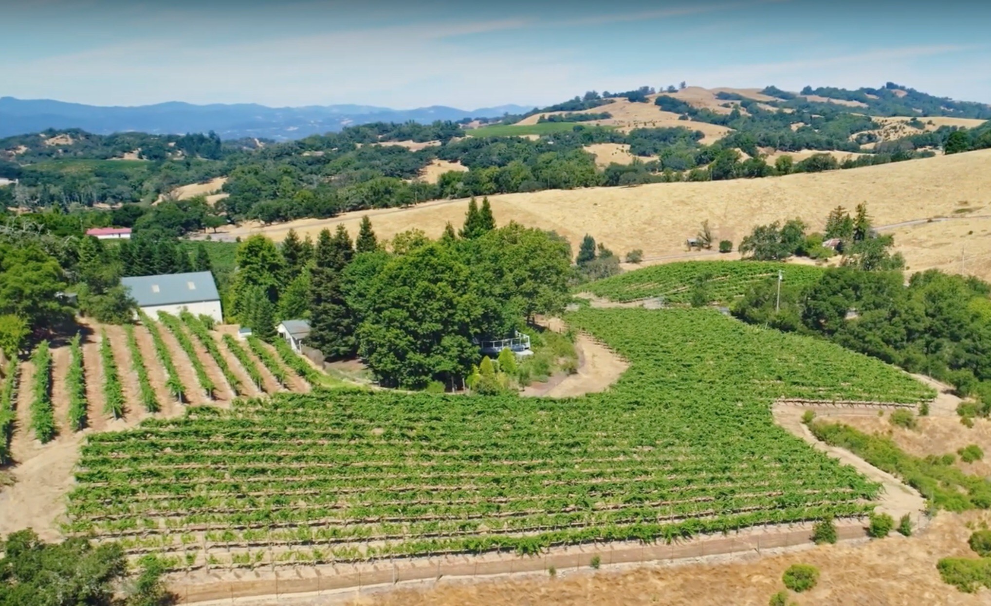 12210 Brooks Rd, Windsor, CA 95492