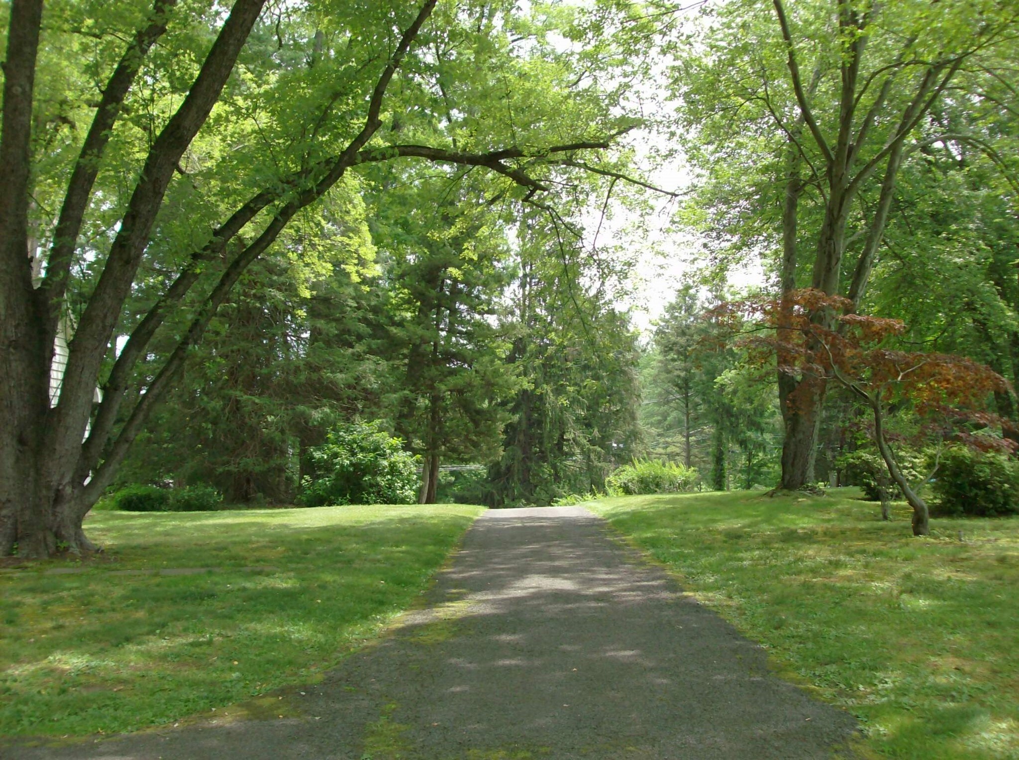 37 Hunt Rd, Orangeburg, NY for sale Primary Photo- Image 1 of 1