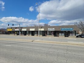 800-812 Higgins Rd, Park Ridge IL - Storefront Property