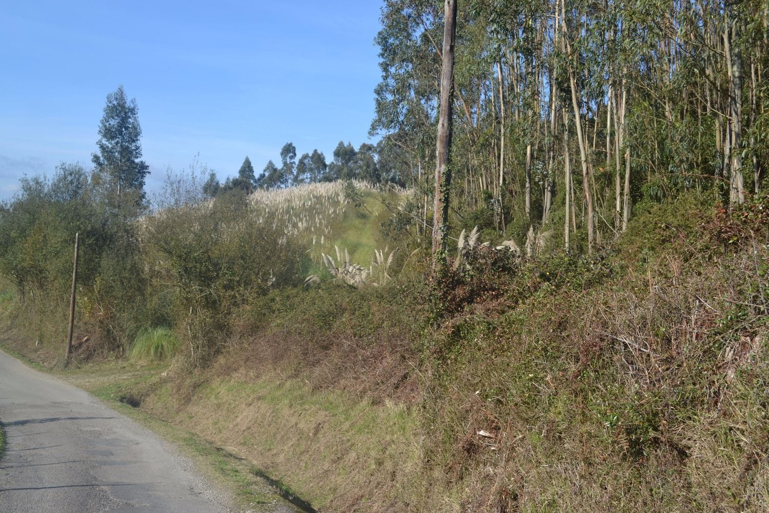 Puga, Llanera, Asturias for sale Aerial- Image 1 of 41