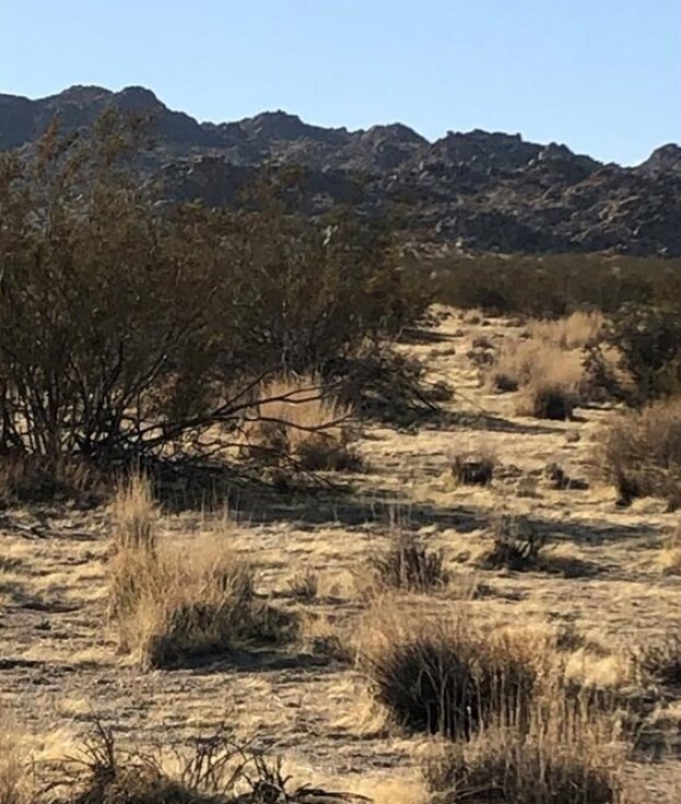64755 Foothiil Dr, Joshua Tree, CA for sale Primary Photo- Image 1 of 1