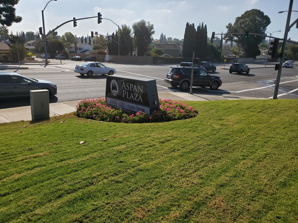 View Photo