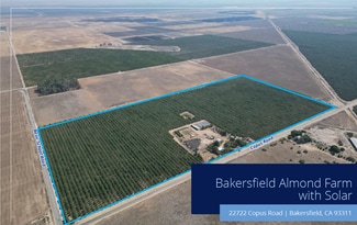 More details for 22722 Copus Rd, Bakersfield, CA - Land for Sale