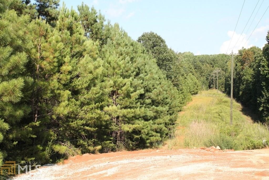 0 Junes Way, Eastanollee, GA 30538 Land for Sale