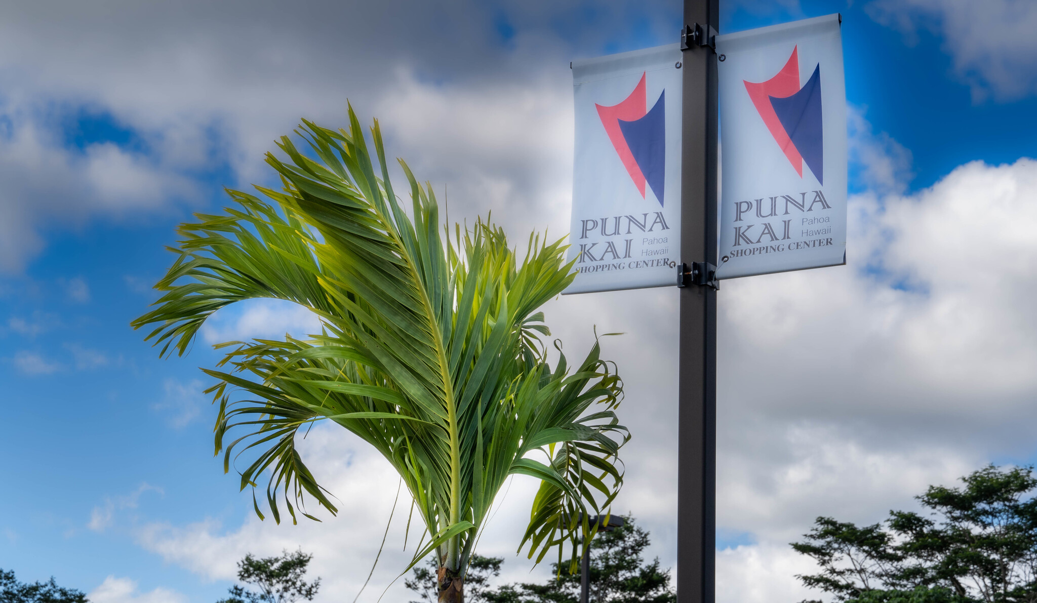 Find Your Dream Home At 15-2660 Pahoa Village Rd: A Paradise Awaits