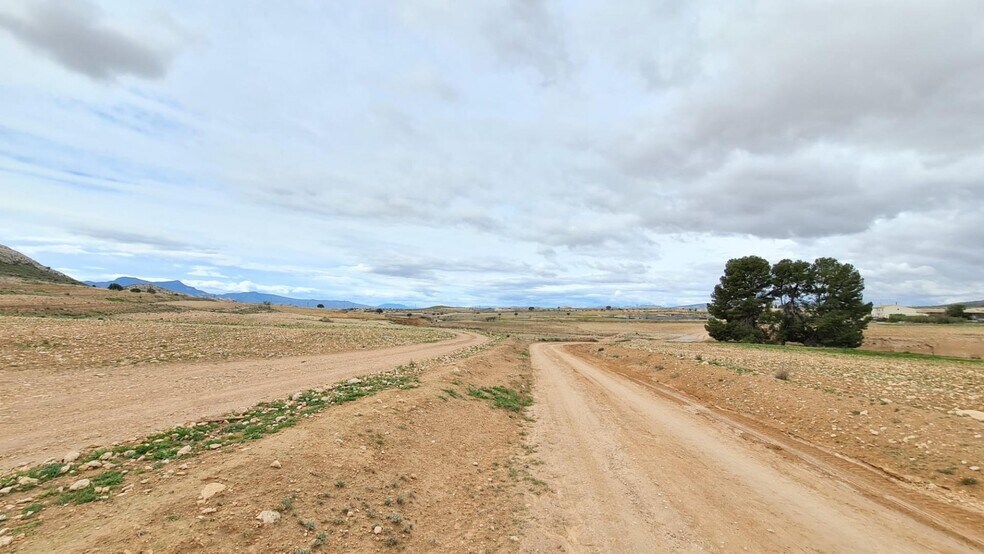 Land in Jumilla for sale - Building Photo - Image 3 of 9