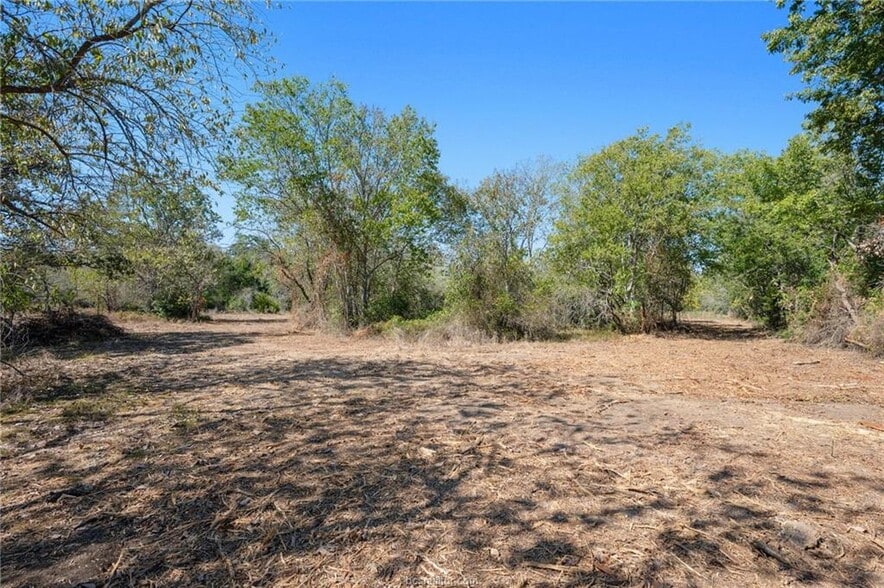 81.53 AC Hwy 36 North hwy, Caldwell, TX for sale - Building Photo - Image 3 of 21