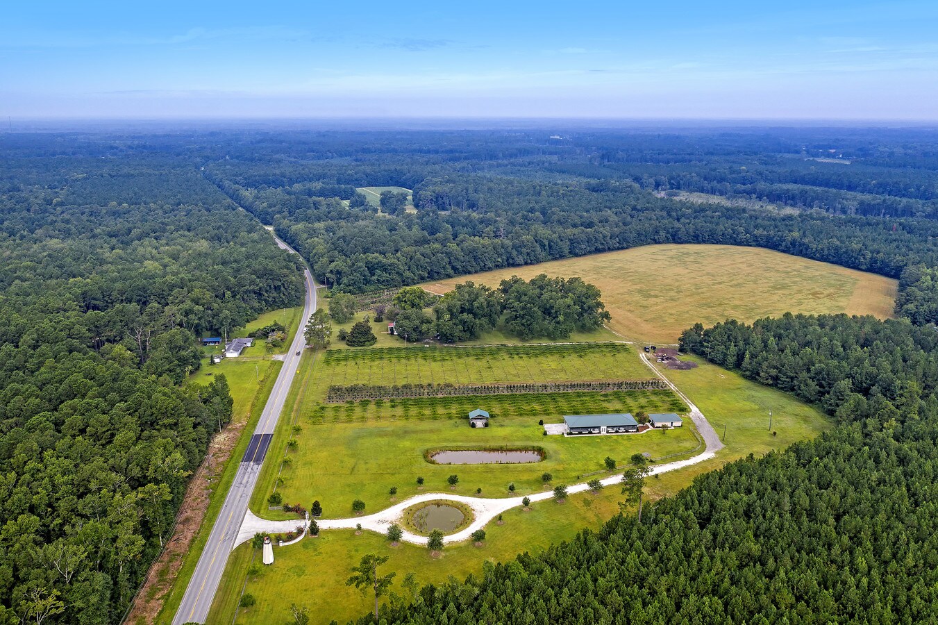 7826 Sniders Hwy, Walterboro, SC 29488