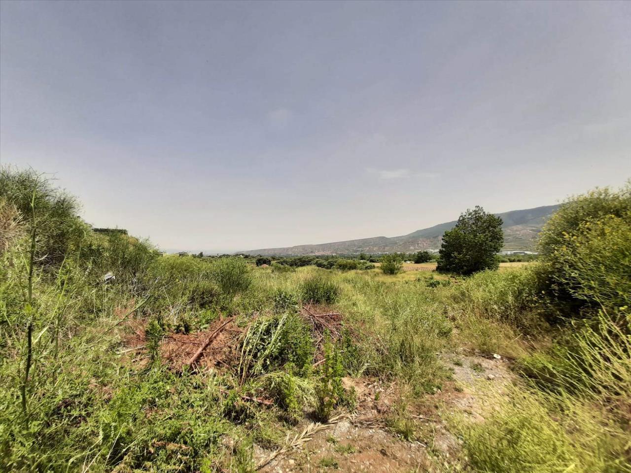 Land in Nalda for sale Building Photo- Image 1 of 12