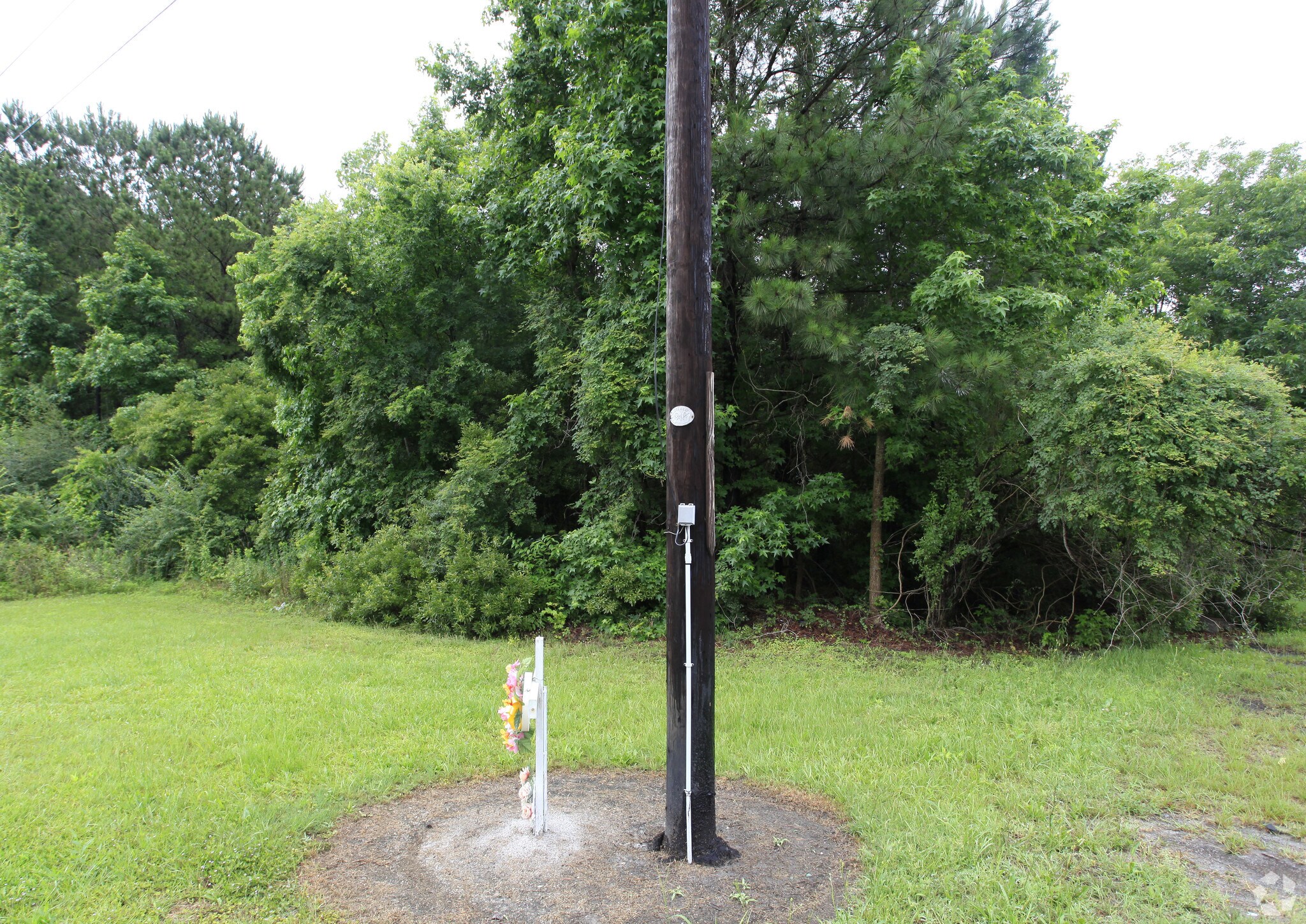 Savannah Hwy, Johns Island, SC for sale Primary Photo- Image 1 of 1