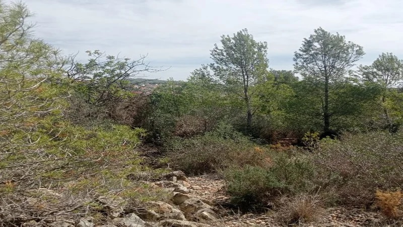 Land in El Vendrell, Tarragona for sale - Primary Photo - Image 2 of 6