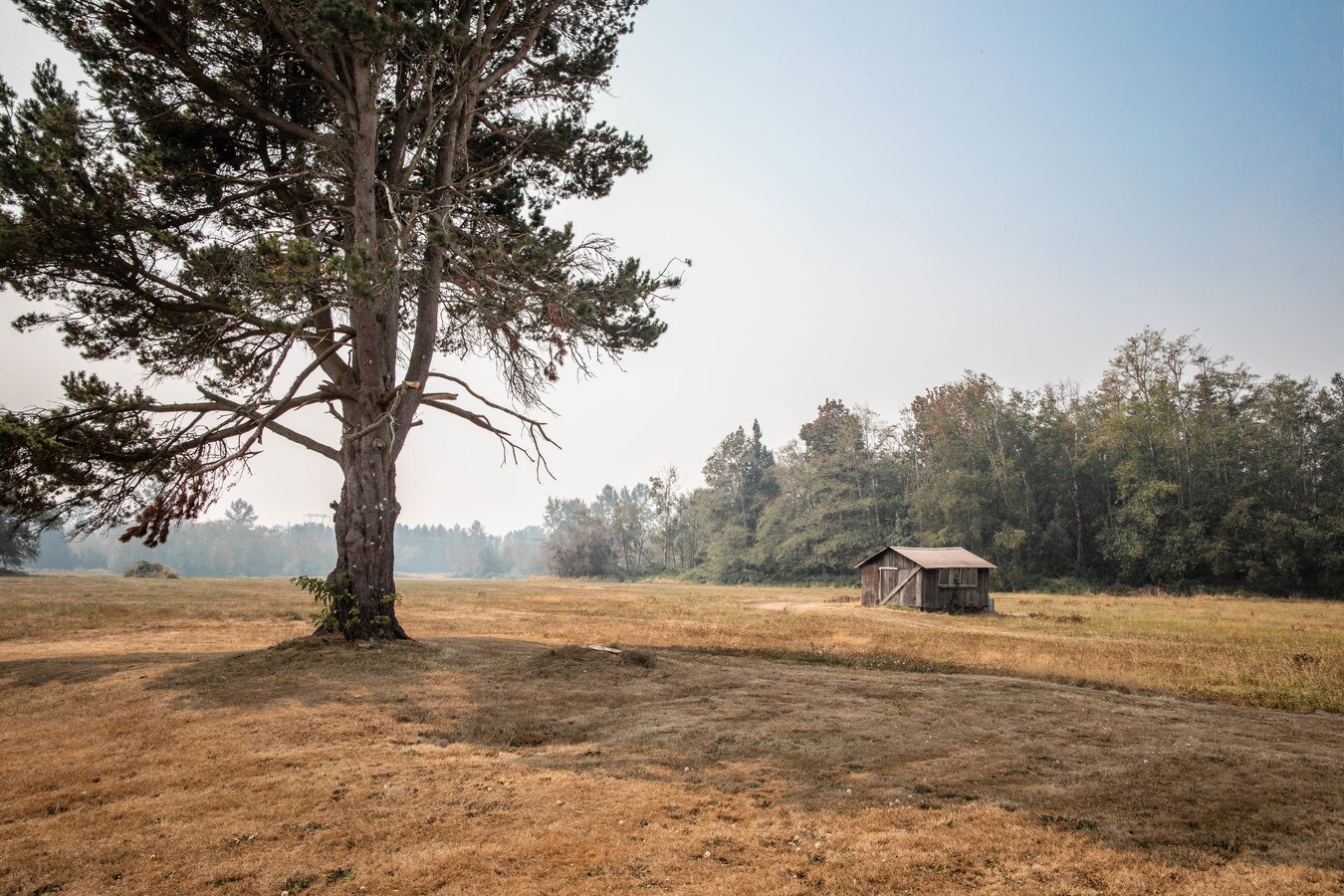 6783 Kickerville Rd, Ferndale, WA 98248