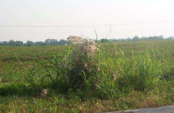 Boone Station Rd, Shelbyville, KY for sale Primary Photo- Image 1 of 2