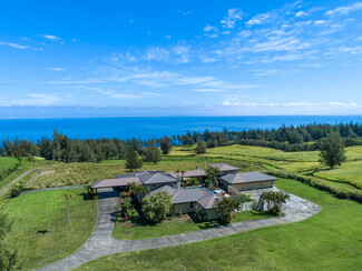 More details for 45-3514 NANAINA KAI, Honokaa, HI - Specialty for Sale