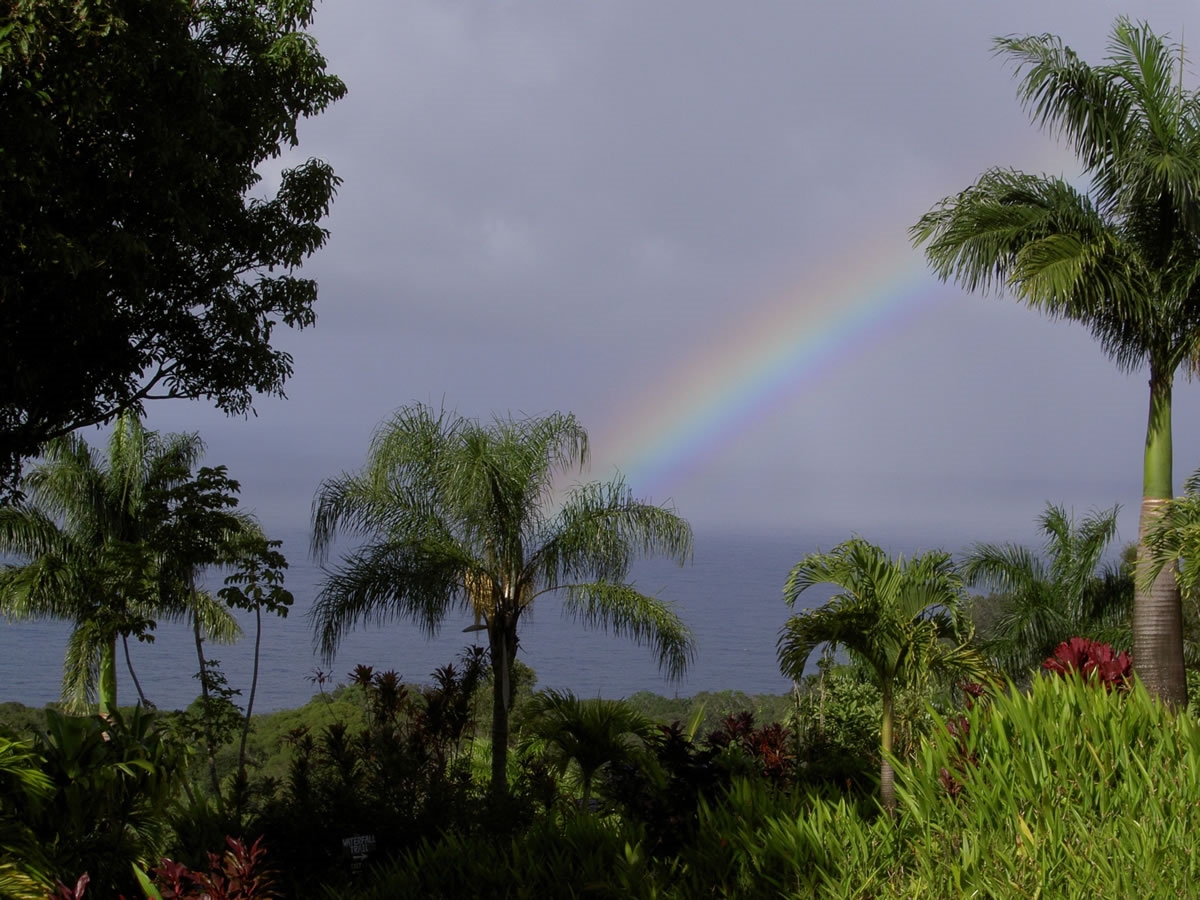 10600 Hana Hwy, Haiku, HI for sale Primary Photo- Image 1 of 1