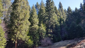 More details for Winding Way, Grizzly Flats, CA - Land for Sale