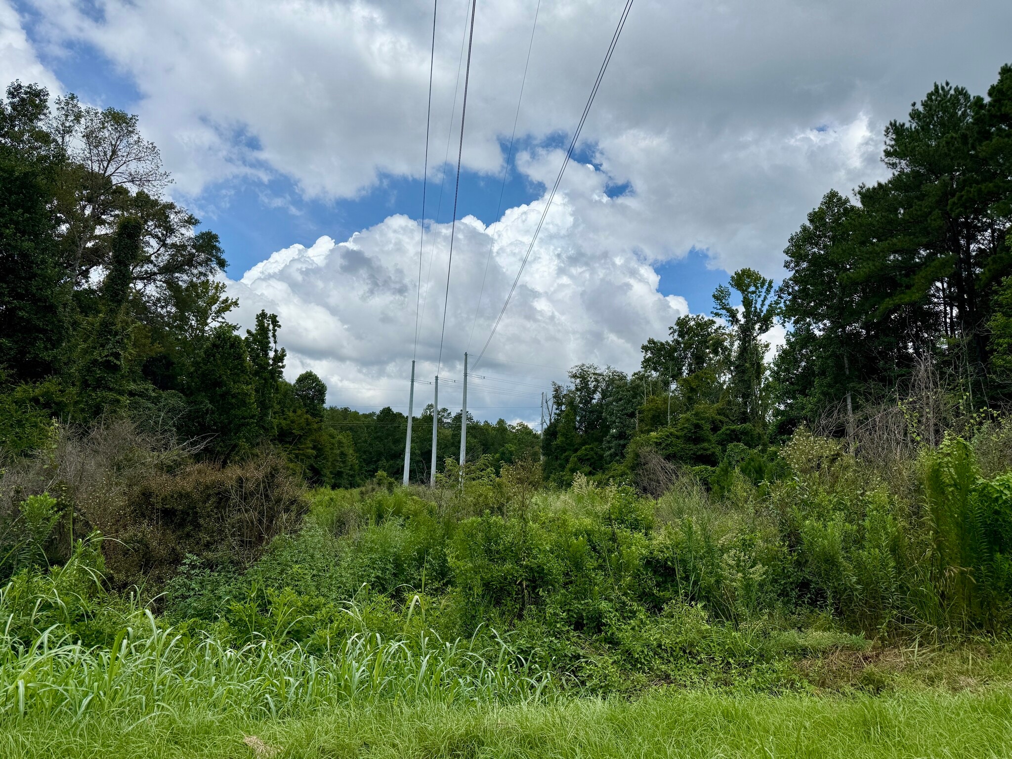 2194 MS-570, Summit, MS for sale Primary Photo- Image 1 of 13