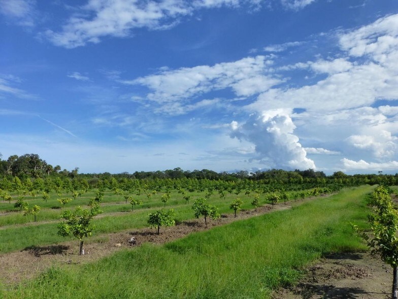 3055 Sunset Ave, Mims, FL for sale - Primary Photo - Image 1 of 1