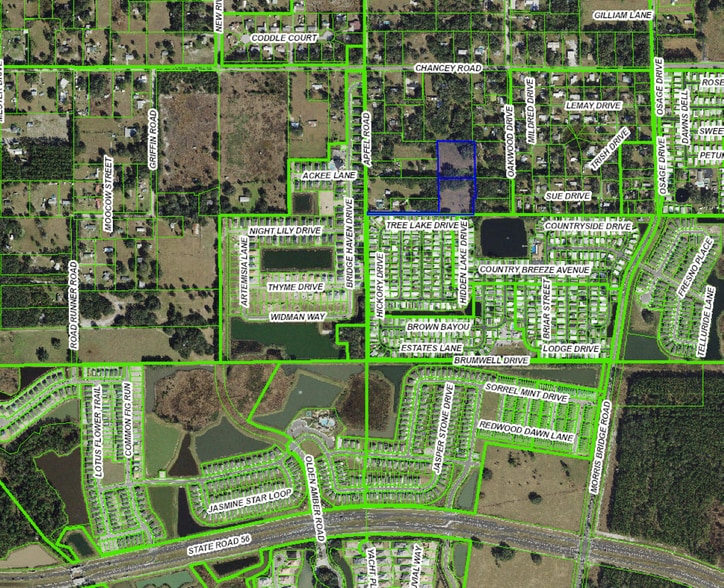 3230 Apfel Rd, Zephyrhills, FL for sale - Building Photo - Image 3 of 4