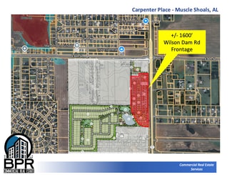 More details for 3901 S Wilson Dam Rd, Muscle Shoals, AL - Land for Sale